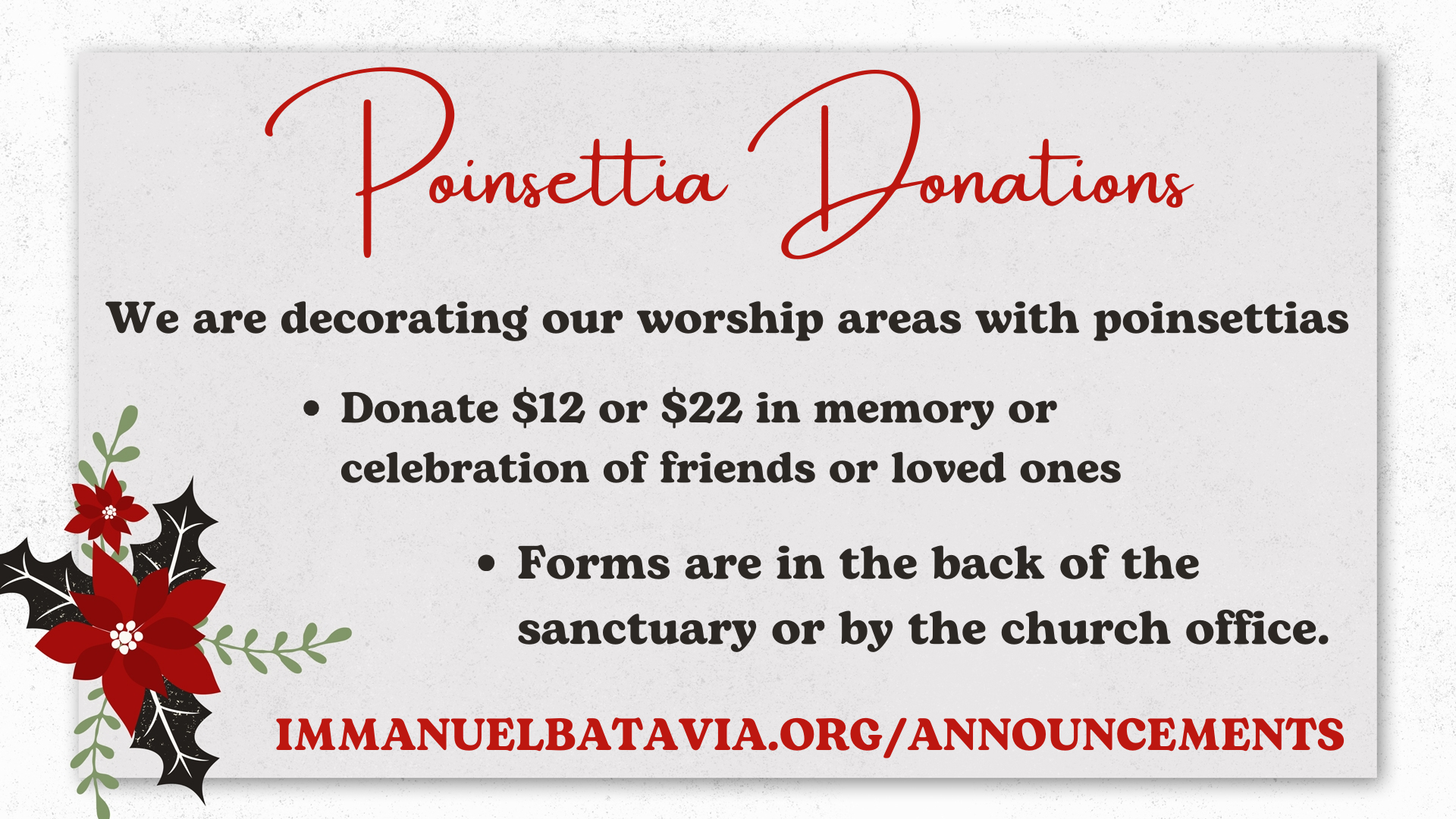 Poinsettia Orders
